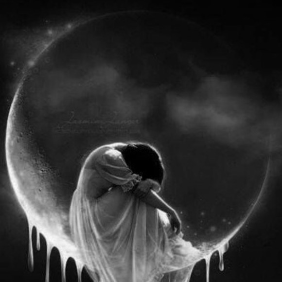 Meet your Posher, Audrey - Picture 1 of 1